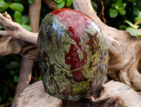 Polished Bastite Dragons Blood Standing Free Form x 1 From Tshipise, South Africa