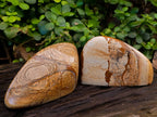 Polished Picture Stone Jasper Standing Free Forms x 2 From Northwest Coast, Madagascar - Toprock Gemstones and Minerals 