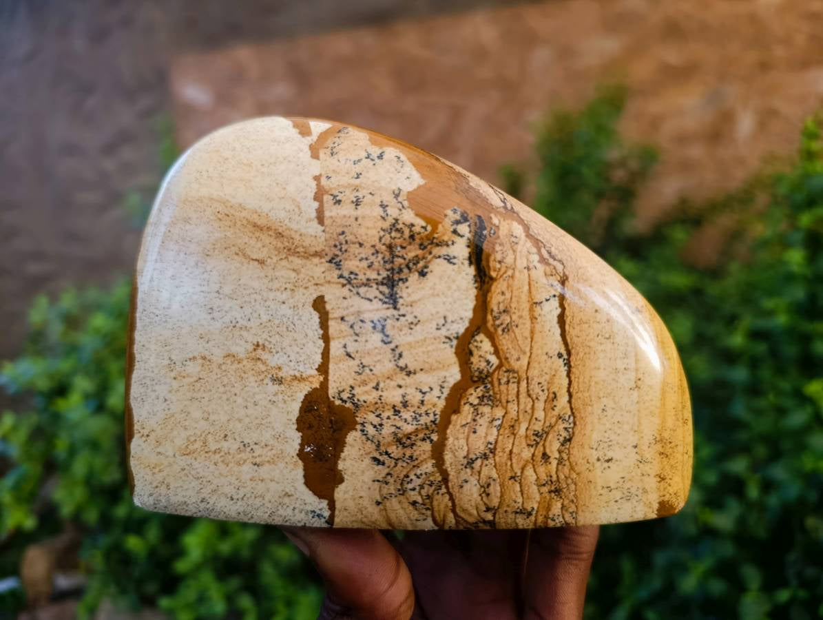 Polished Picture Stone Jasper Standing Free Forms x 2 From Northwest Coast, Madagascar - Toprock Gemstones and Minerals 