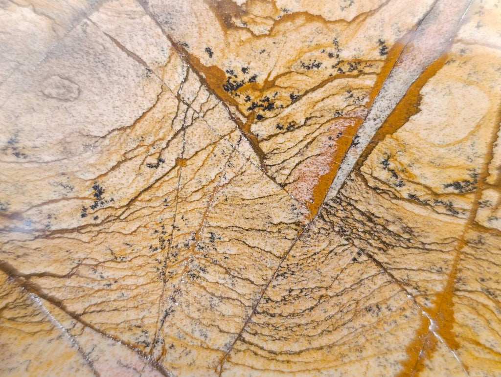 Polished Picture Stone Jasper Standing Free Forms x 2 From Northwest Coast, Madagascar - Toprock Gemstones and Minerals 