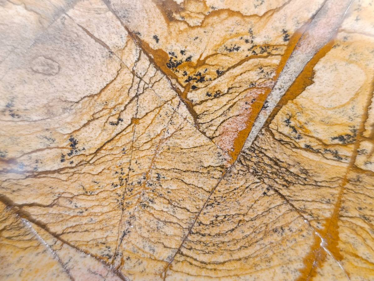 Polished Picture Stone Jasper Standing Free Forms x 2 From Northwest Coast, Madagascar - Toprock Gemstones and Minerals 