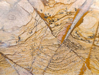 Polished Picture Stone Jasper Standing Free Forms x 2 From Northwest Coast, Madagascar - Toprock Gemstones and Minerals 