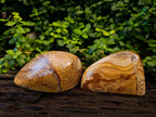 Polished Picture Stone Jasper Standing Free Forms x 2 From Northwest Coast, Madagascar - Toprock Gemstones and Minerals 