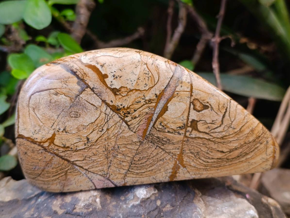 Polished Picture Stone Jasper Standing Free Forms x 2 From Northwest Coast, Madagascar - Toprock Gemstones and Minerals 