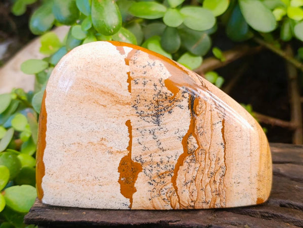 Polished Picture Stone Jasper Standing Free Forms x 2 From Northwest Coast, Madagascar