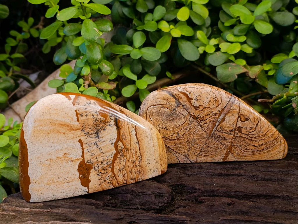 Polished Picture Stone Jasper Standing Free Forms x 2 From Northwest Coast, Madagascar - Toprock Gemstones and Minerals 
