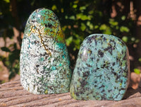 Polished "African Turquoise" Chrysocolla Standing Free Forms x 3 From Blue Mine, South Africa - Toprock Gemstones and Minerals 