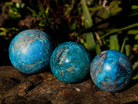 Polished Conglomerate Shattuckite Spheres x 5 From Congo