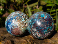 Polished Conglomerate Shattuckite Spheres x 5 From Congo