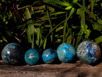 Polished Conglomerate Shattuckite Spheres x 5 From Congo