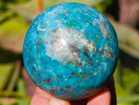 Polished Conglomerate Shattuckite Spheres x 5 From Congo