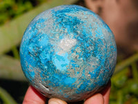 Polished Conglomerate Shattuckite Spheres x 5 From Congo