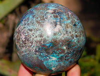 Polished Conglomerate Shattuckite Spheres x 5 From Congo