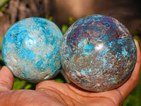 Polished Conglomerate Shattuckite Spheres x 5 From Congo