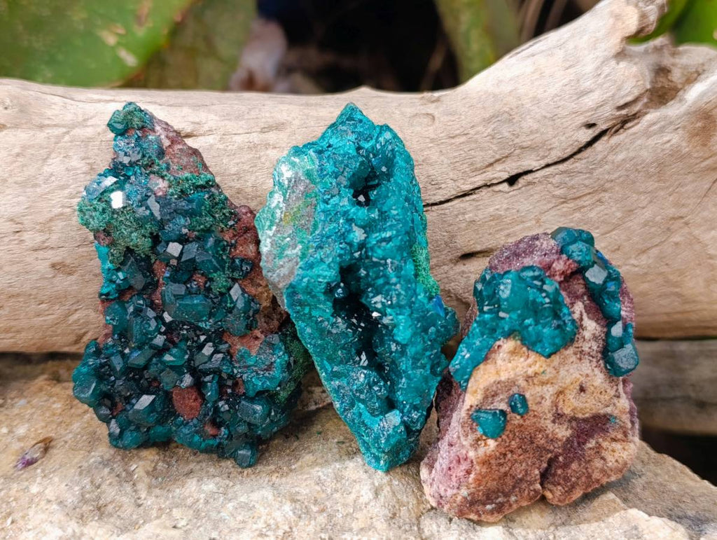 Natural Dioptase on Dolomite Matrix Specimens x 12 From Likasi, Congo - Toprock Gemstones and Minerals 