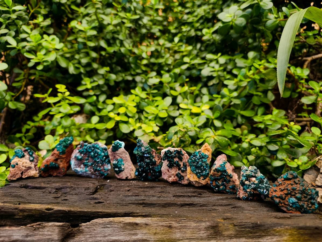 Natural Dioptase on Dolomite Matrix Specimens x 12 From Likasi, Congo - Toprock Gemstones and Minerals 