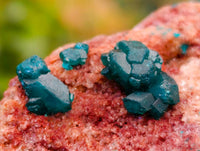 Natural Dioptase on Dolomite Matrix Specimens x 12 From Likasi, Congo - Toprock Gemstones and Minerals 
