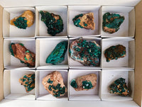 Natural Dioptase on Dolomite Matrix Specimens x 12 From Likasi, Congo - Toprock Gemstones and Minerals 