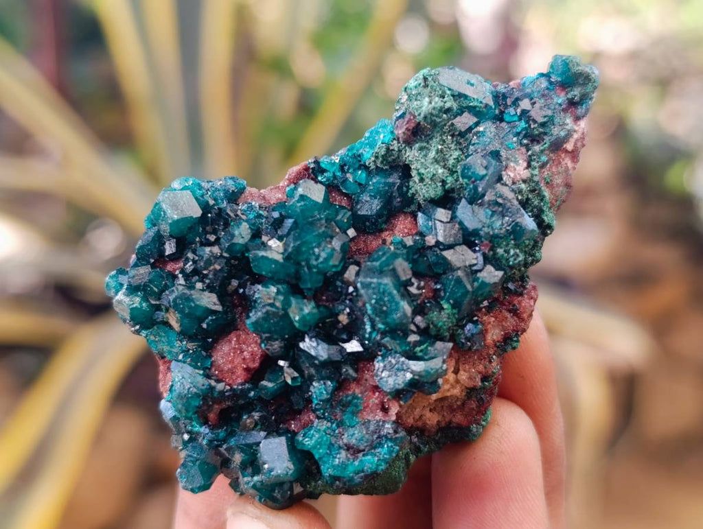 Natural Dioptase on Dolomite Matrix Specimens x 12 From Likasi, Congo - Toprock Gemstones and Minerals 