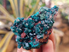 Natural Dioptase on Dolomite Matrix Specimens x 12 From Likasi, Congo - Toprock Gemstones and Minerals 
