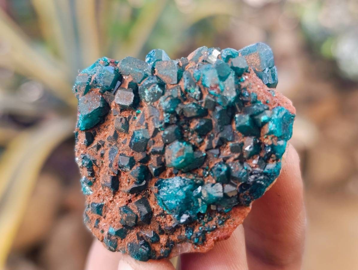 Natural Dioptase on Dolomite Matrix Specimens x 12 From Likasi, Congo - Toprock Gemstones and Minerals 