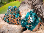 Natural Dioptase on Dolomite Matrix Specimens x 12 From Likasi, Congo - Toprock Gemstones and Minerals 