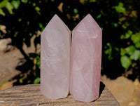 Polished Rose Quartz Points x 6 Ambatondrazaka, Madagascar