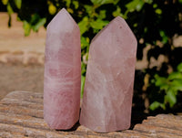 Polished Rose Quartz Points x 6 Ambatondrazaka, Madagascar