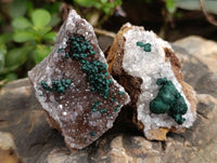 Natural Ball Malachite On Quartz Matrix Specimens x 6 From Kambove, Congo