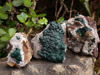 Natural Ball Malachite On Quartz Matrix Specimens x 6 From Kambove, Congo