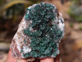 Natural Ball Malachite On Quartz Matrix Specimens x 6 From Kambove, Congo - Toprock Gemstones and Minerals 