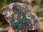 Natural Ball Malachite On Quartz Matrix Specimens x 6 From Kambove, Congo - Toprock Gemstones and Minerals 