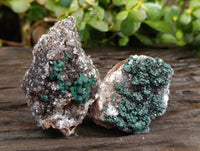 Natural Ball Malachite On Quartz Matrix Specimens x 6 From Kambove, Congo