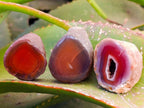 Polished On One Side Red Sashe River Agate Nodules x 20 From Zimbabwe - Toprock Gemstones and Minerals 