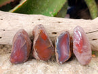 Polished On One Side Red Sashe River Agate Nodules x 20 From Zimbabwe - Toprock Gemstones and Minerals 