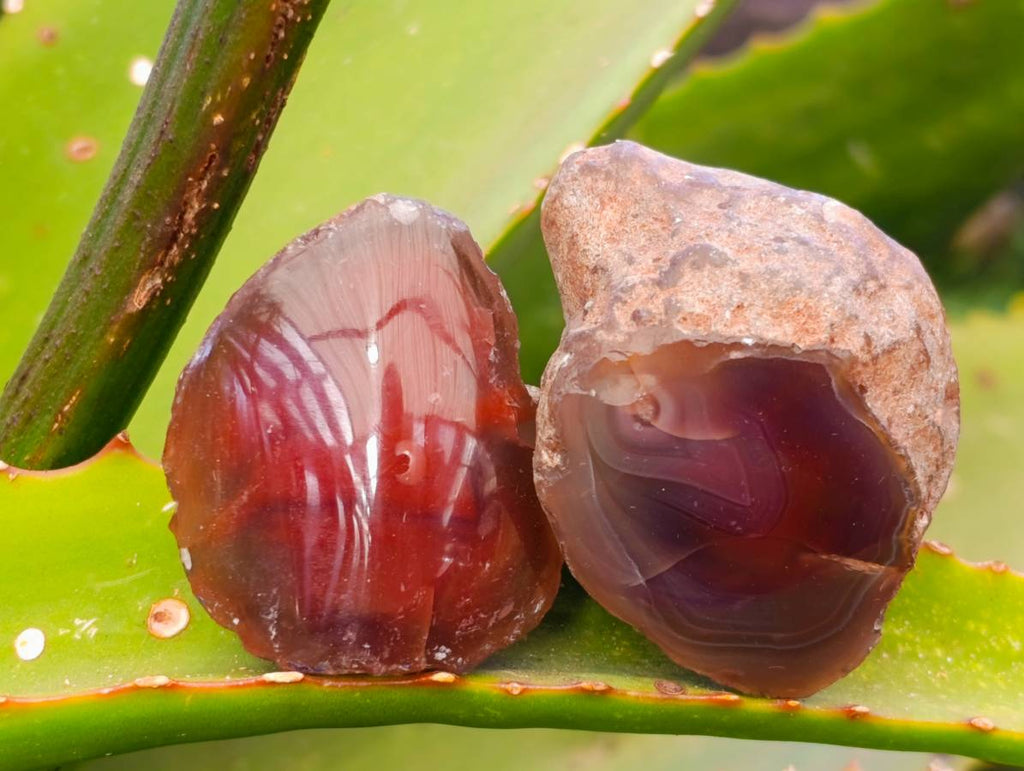 Polished On One Side Red Sashe River Agate Nodules x 20 From Zimbabwe - Toprock Gemstones and Minerals 