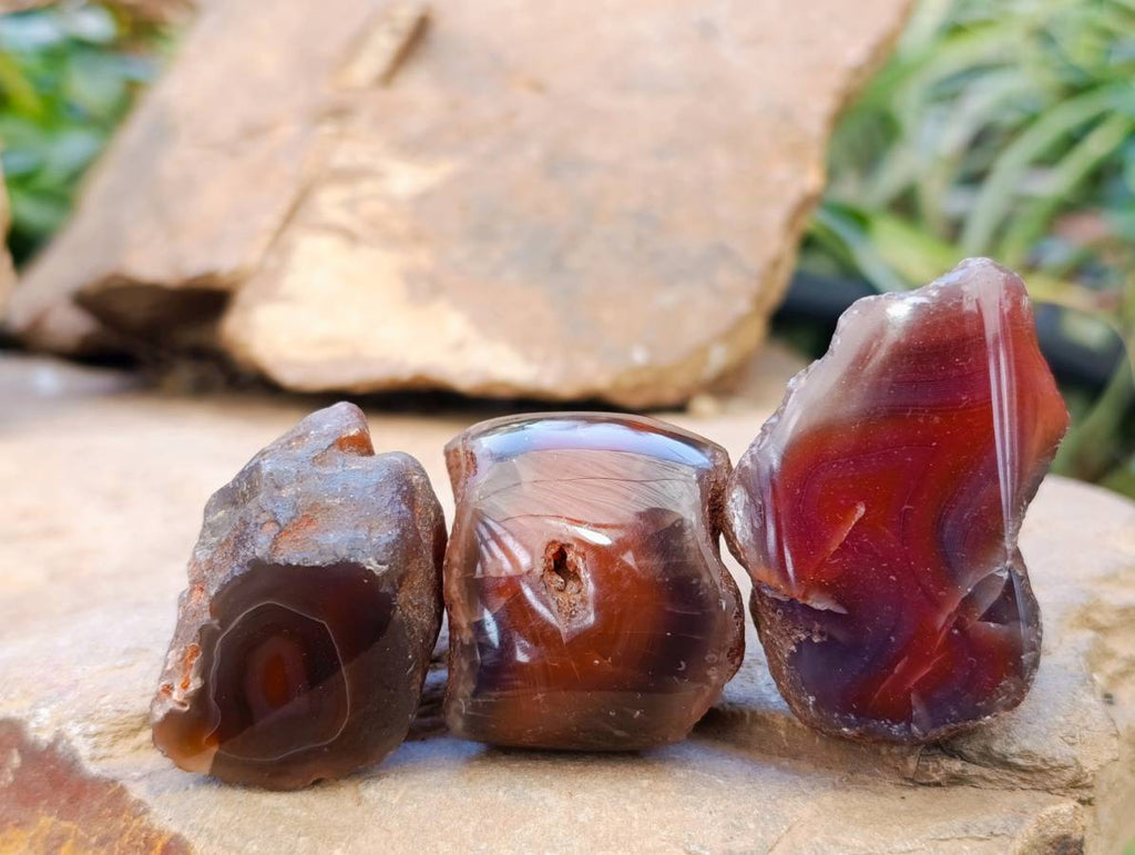 Polished On One Side Red Sashe River Agate Nodules x 20 From Zimbabwe - Toprock Gemstones and Minerals 