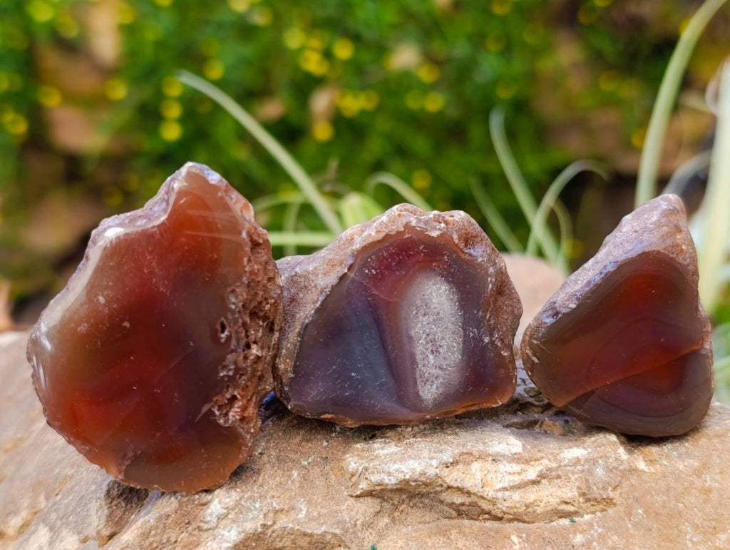 Polished On One Side Red Sashe River Agate Nodules x 20 From Zimbabwe - Toprock Gemstones and Minerals 
