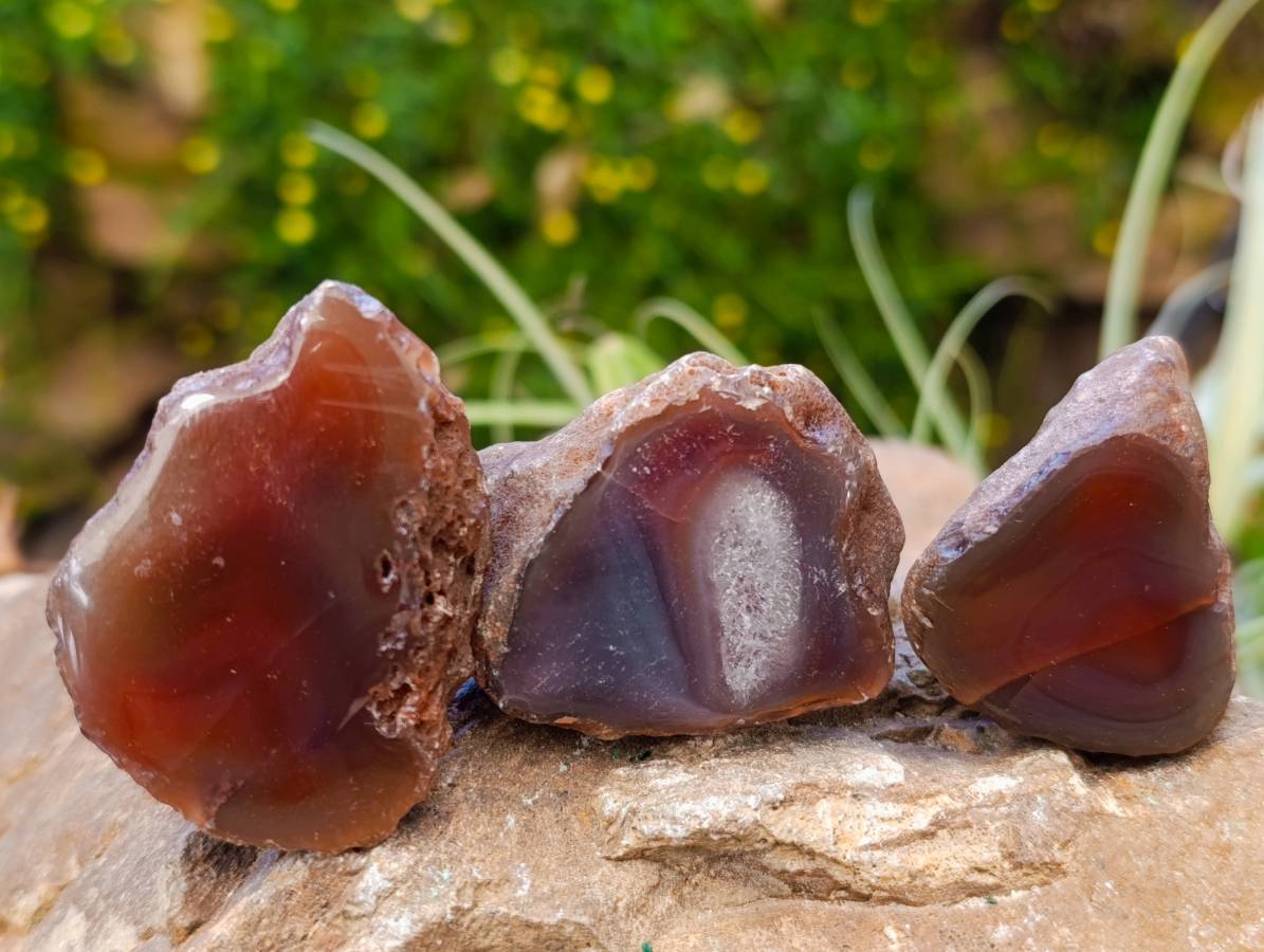 Polished On One Side Red Sashe River Agate Nodules x 20 From Zimbabwe - Toprock Gemstones and Minerals 