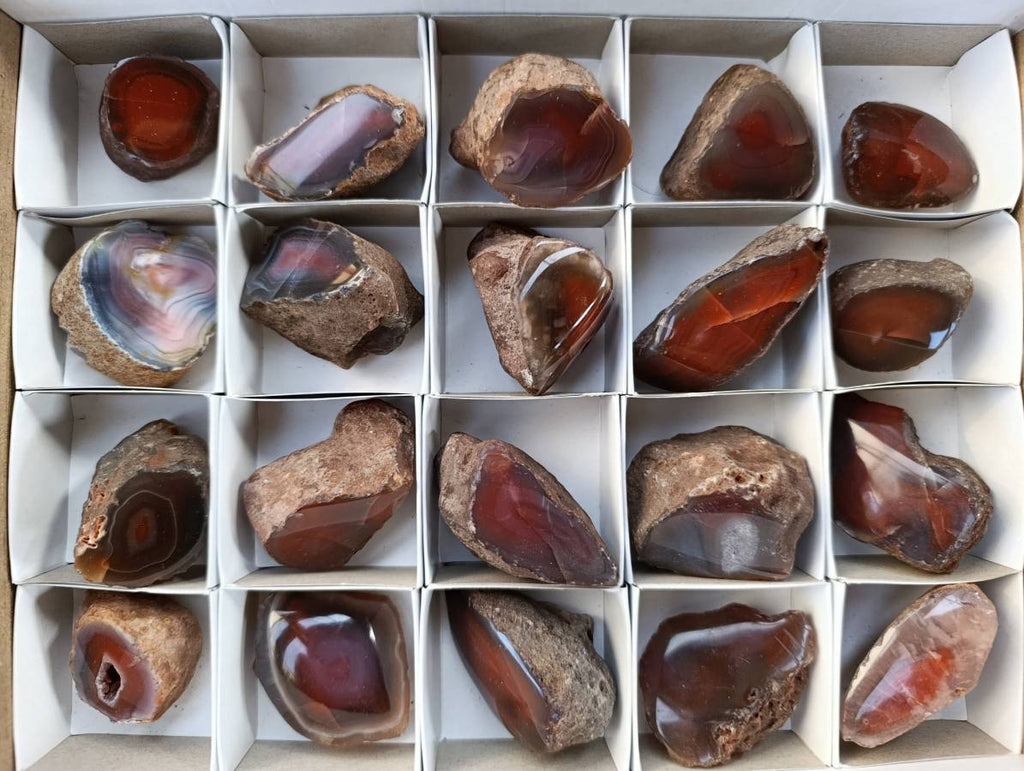 Polished On One Side Red Sashe River Agate Nodules x 20 From Zimbabwe - Toprock Gemstones and Minerals 