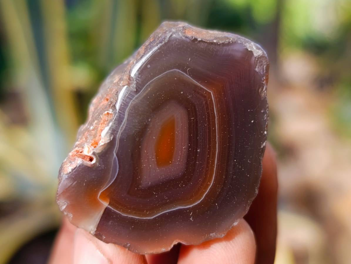 Polished On One Side Red Sashe River Agate Nodules x 20 From Zimbabwe - Toprock Gemstones and Minerals 