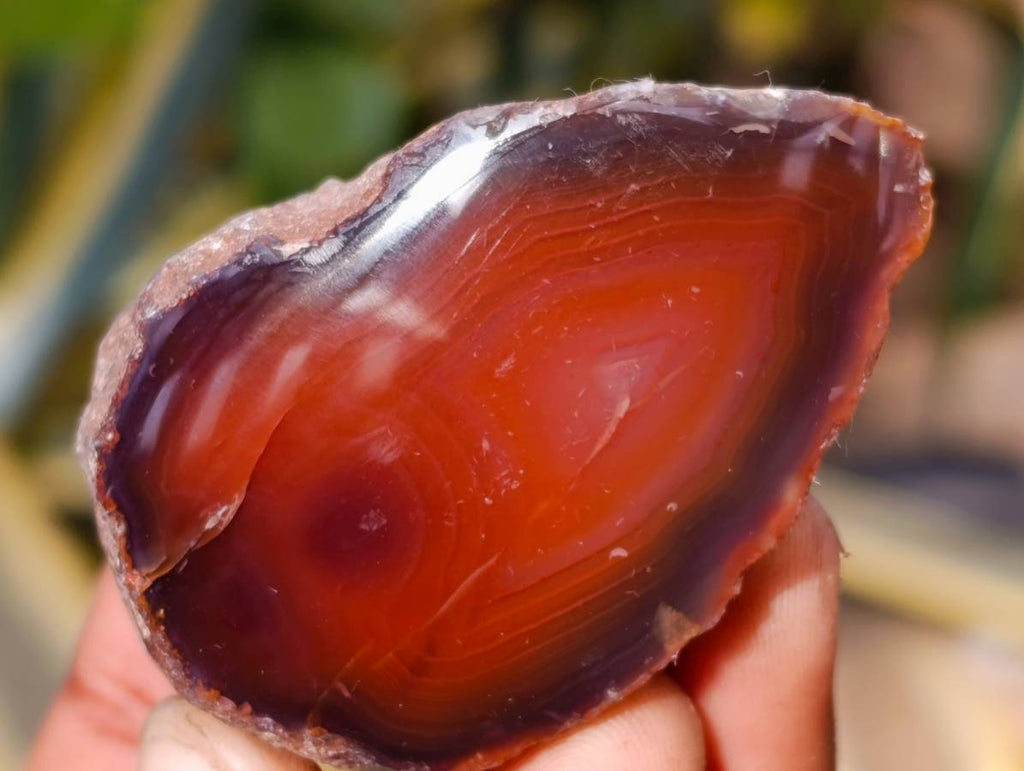Polished On One Side Red Sashe River Agate Nodules x 20 From Zimbabwe - Toprock Gemstones and Minerals 