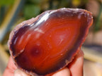 Polished On One Side Red Sashe River Agate Nodules x 20 From Zimbabwe - Toprock Gemstones and Minerals 
