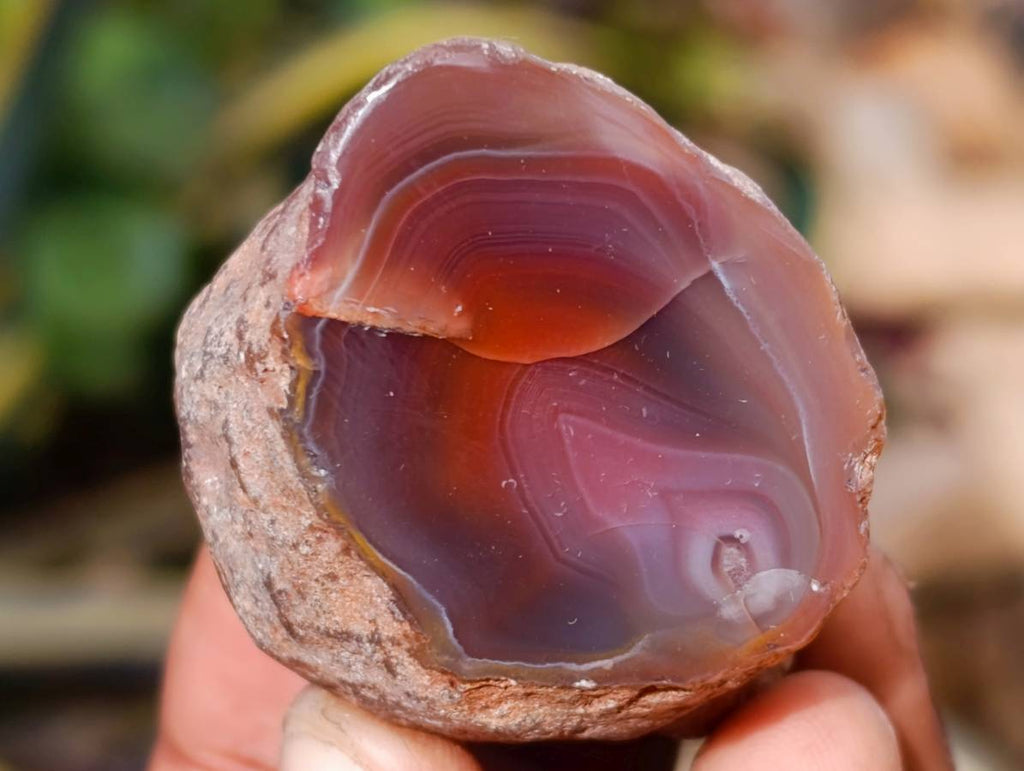 Polished On One Side Red Sashe River Agate Nodules x 20 From Zimbabwe - Toprock Gemstones and Minerals 