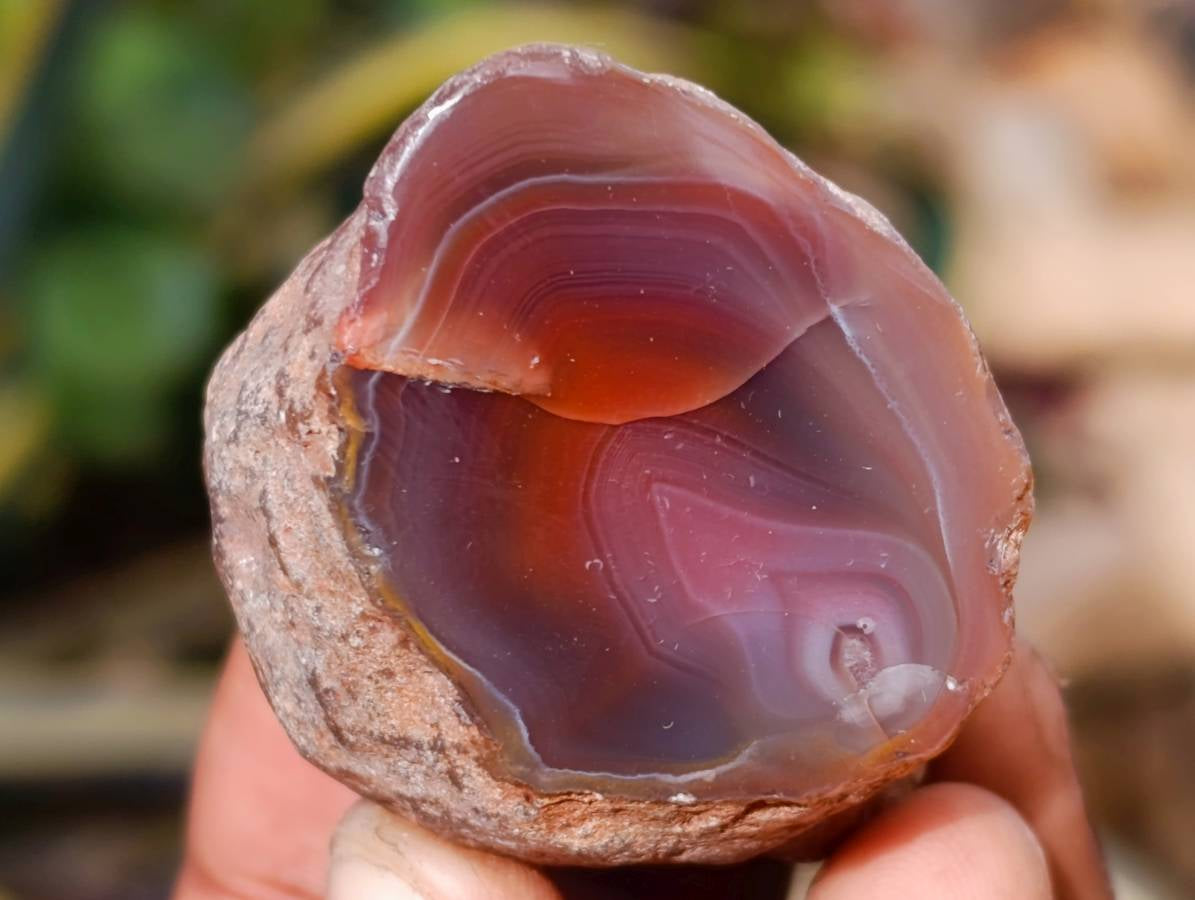 Polished On One Side Red Sashe River Agate Nodules x 20 From Zimbabwe - Toprock Gemstones and Minerals 