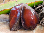 Polished On One Side Red Sashe River Agate Nodules x 20 From Zimbabwe - Toprock Gemstones and Minerals 