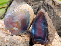 Polished On One Side Red Sashe River Agate Nodules x 20 From Zimbabwe - Toprock Gemstones and Minerals 