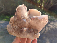 Natural Red Hematoid Quartz Clusters x 2 From Karoi, Zimbabwe