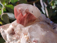 Natural Red Hematoid Quartz Clusters x 2 From Karoi, Zimbabwe