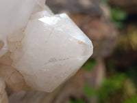 Natural XL Cascading Pineapple Quartz Cluster x 1 From Madagascar